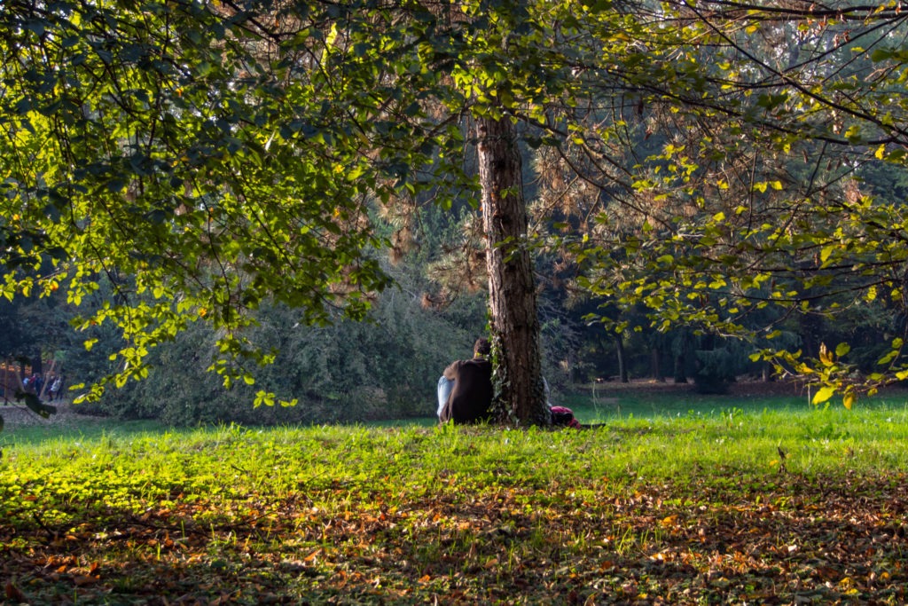 OLTRE IL GIARDINO ... IL PAESAGGIO